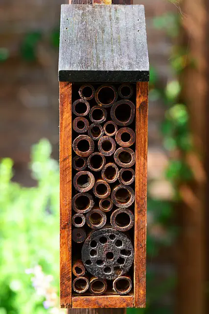 Super Cool Mason Bee House