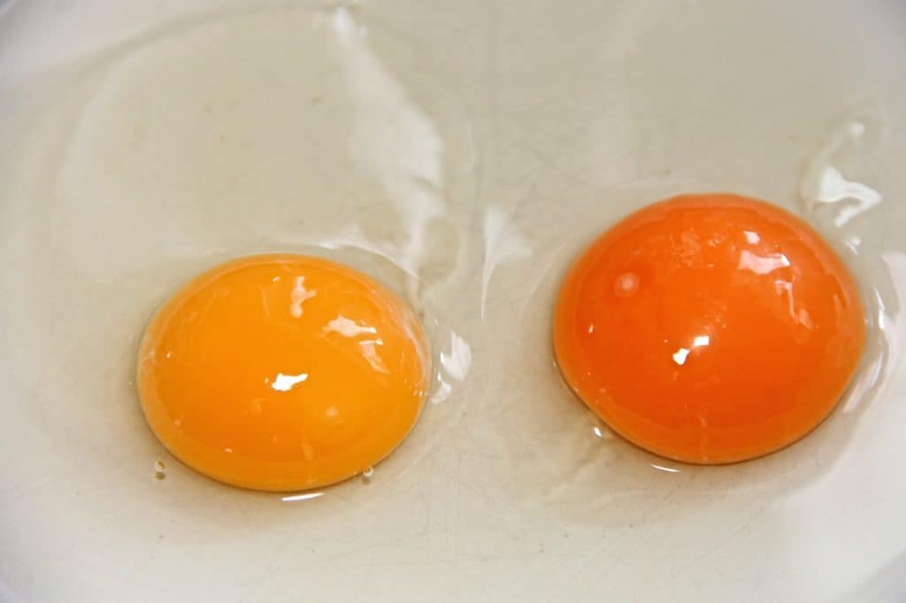 Side by side pasture egg versus commercially produced egg