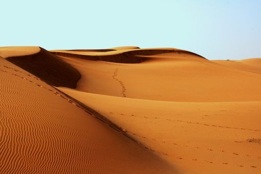 Sand dune, sandy soil.
