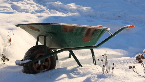 Wheelbarrow for hauling in the winter.