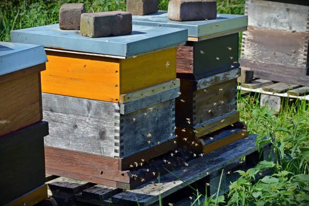 The Langstroth hive is They are named by their inventor, a Reverend L.L. Langstroth